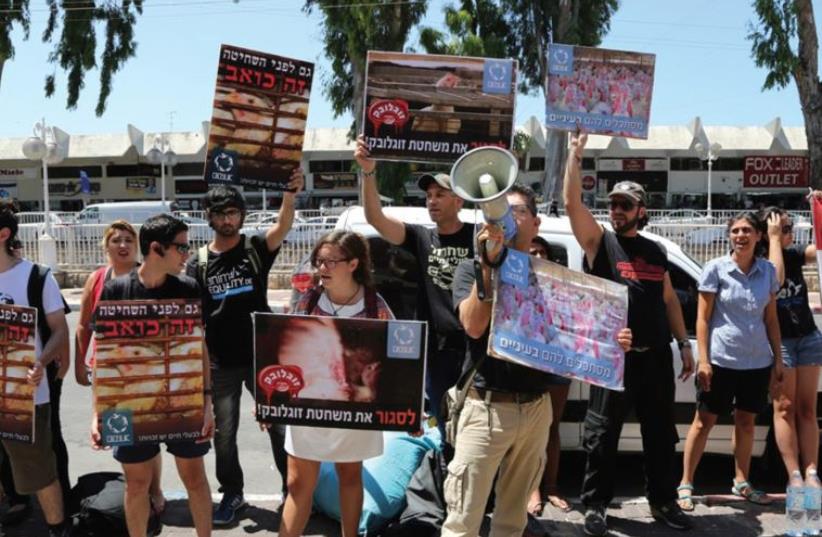 ACTIVISTS DEMONSTRATE against animal abuse outside the Soglowek poultry slaughterhouse in the North. (photo credit: HILA OZ)