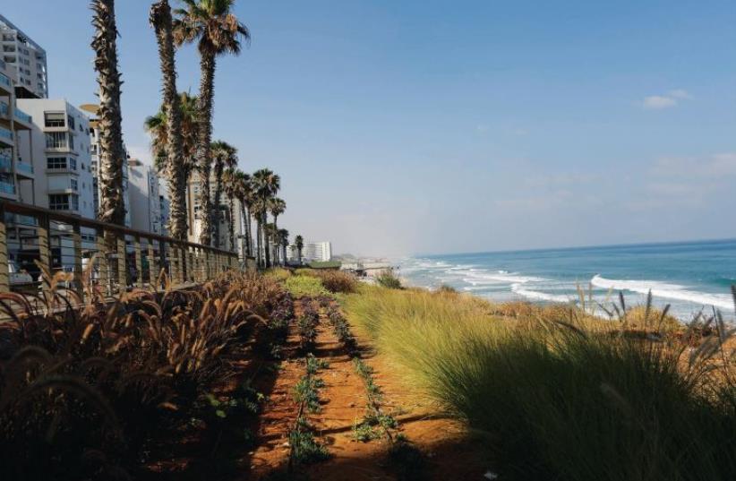 Bat Yam (photo credit: COURTESY BAT YAM MUNICIPALITY)