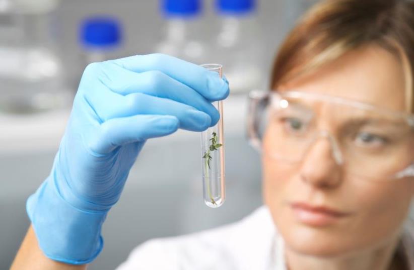 A laboratory assistant (photo credit: DANIEL K. EISENBUD)