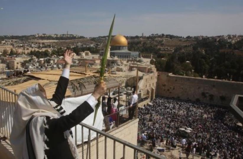 Man holding lulav. (photo credit: MARC ISRAEL SELLEM)