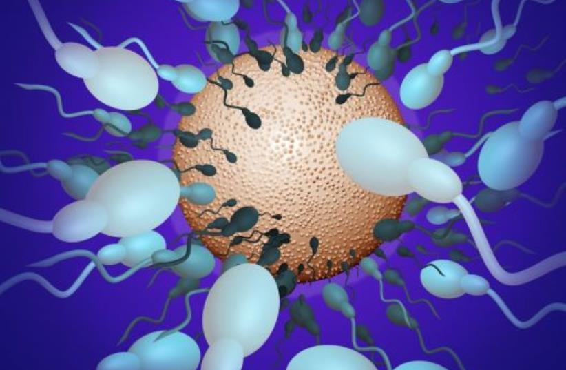 Sperm (illustrative) (photo credit: INGIMAGE)