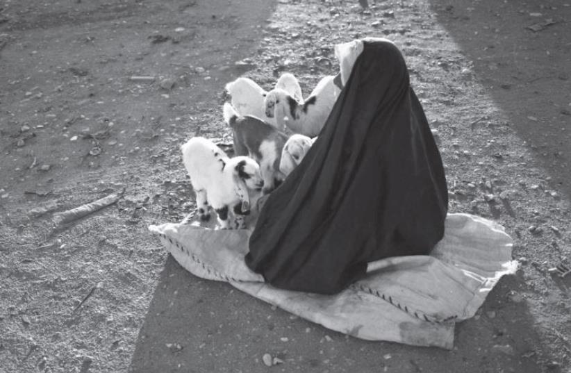 Beersheba Market, 2012  (photo credit: PAVEL WOLBERG)