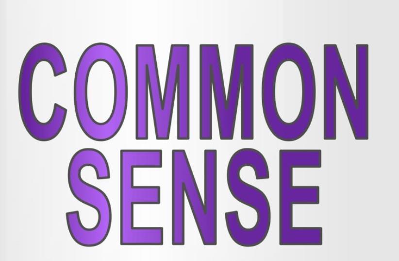 Common sense (photo credit: ING IMAGE/ASAP)