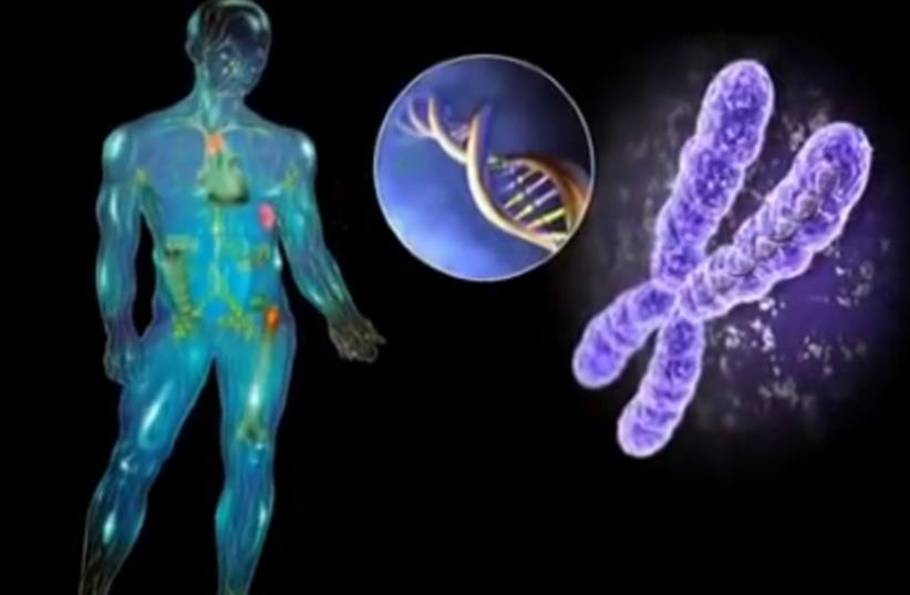 Cambrian Explosion, DNA, human body (photo credit: YOUTUBE SCREENSHOT)