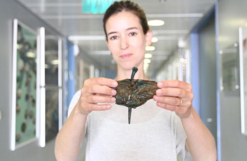 A nail from the shipwreck. (photo credit: UNIVERSITY OF HAIFA)