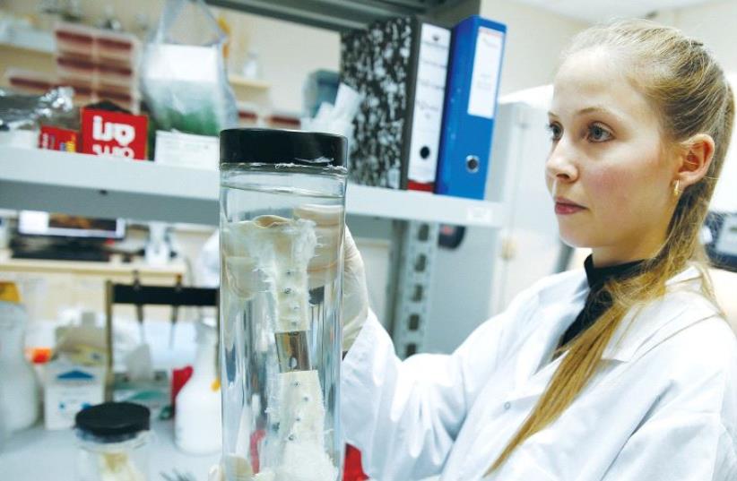 A RESEARCHER in the lab of a biotech firm in Haifa holds a vial containing a bone graft earlier this month (photo credit: REUTERS)