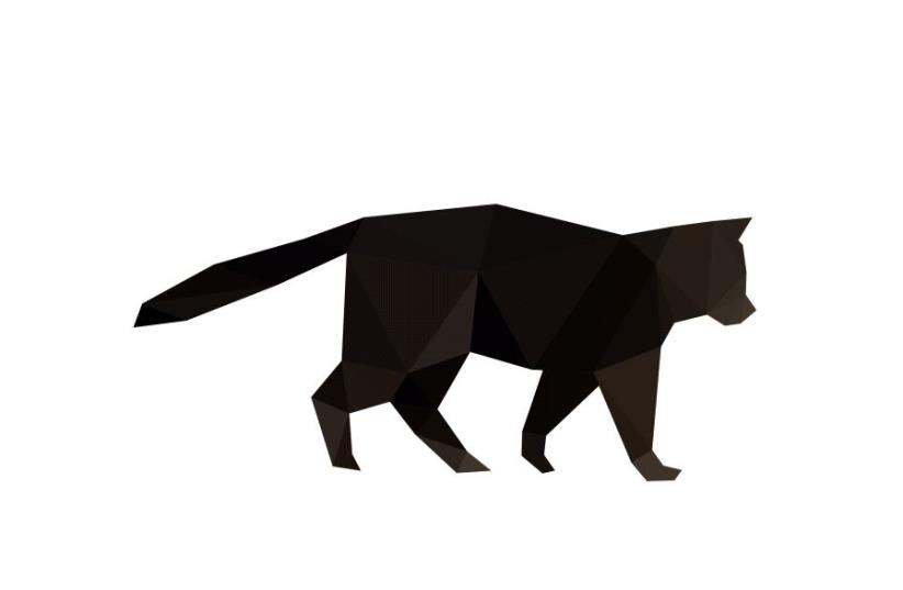 Cat illustration (photo credit: INGIMAGE)