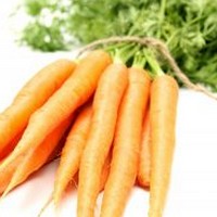 Carrots