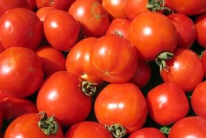 Tomatoes