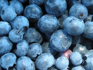 Blueberries