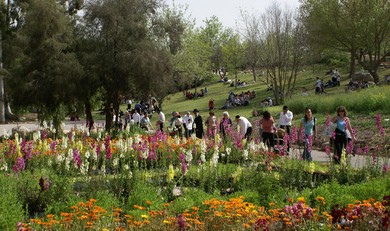 Jerusalem Botanical Gardens (Judith Marcus)