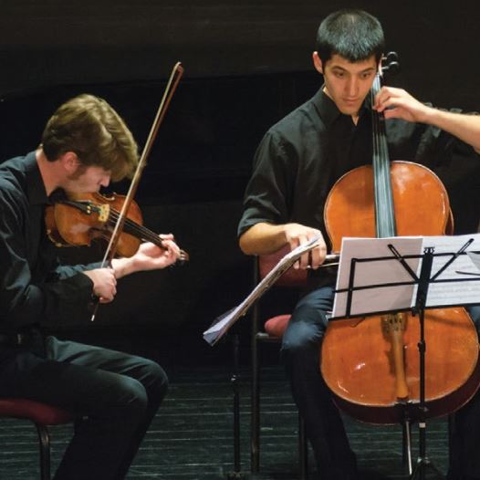 THE MUSETHICA trio performed works by Schubert, Bach and Beethoven at this year’s Voice of Music Festival. (credit: GUY KROCCI)