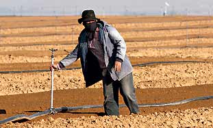 foreign worker311