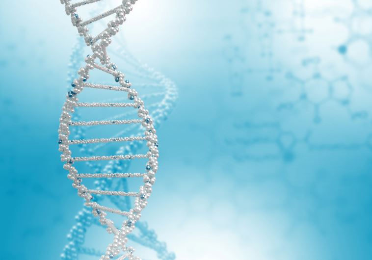 DNA structure [Illustrative]