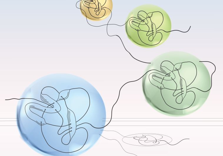 BGU's "talking knots."