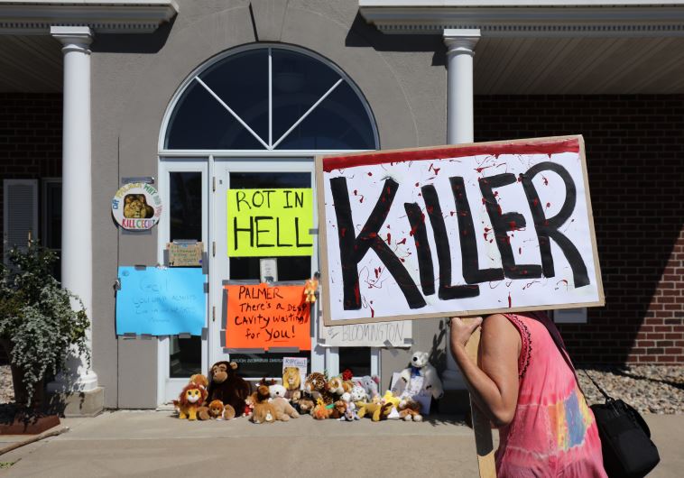 Protesters call attention to the alleged poaching of Cecil the lion, in the parking lot of Dr. Walter Palmer's River Bluff Dental Clinic on July 29, 2015 in Bloomington, Minnesota.