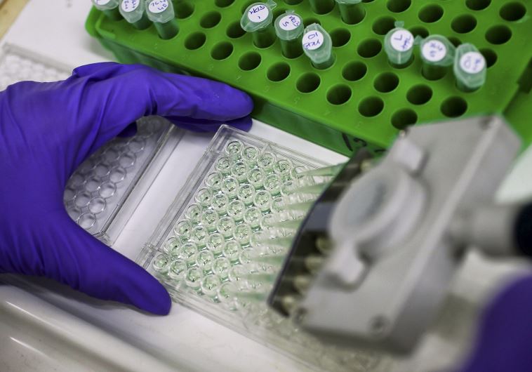 A scientist prepares protein samples for analysis in a lab at the Institute of Cancer Research in Sutton