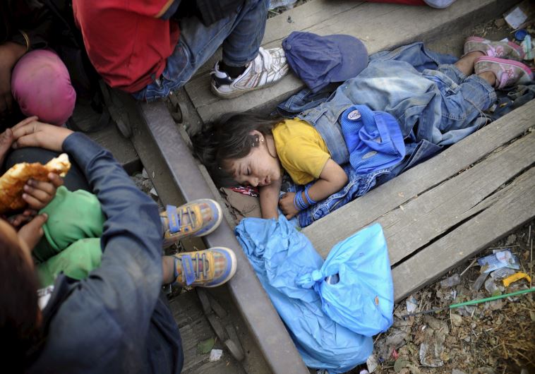 Four-year-old Rashida from Kobani, Syria, part of a new group of more than a thousand immigrants, sleeps as they wait at border line of Macedonia and Greece to enter into Macedonia