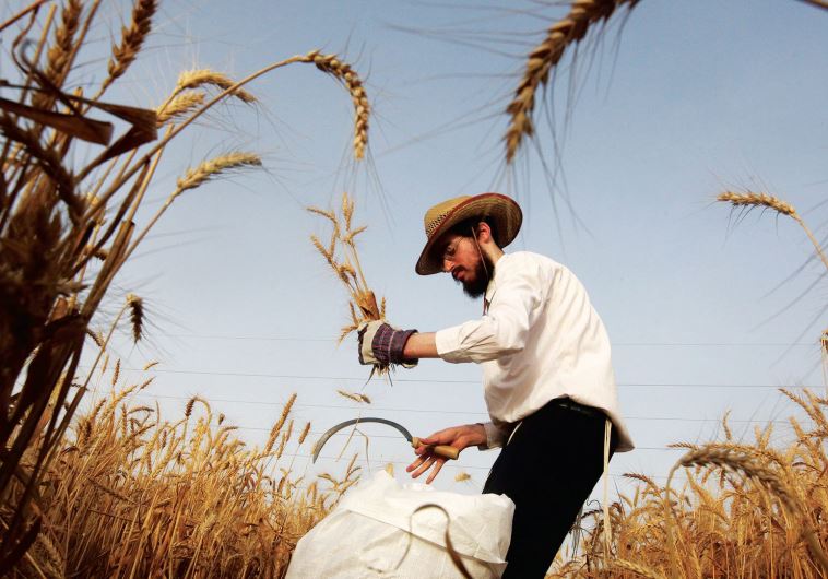 As the sun sets on the last day of 5775 and we usher in the new year, we will simultaneously take leave of the shmita year
