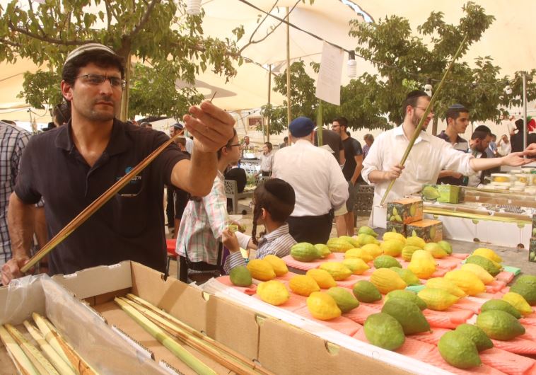 Etrog, Succot