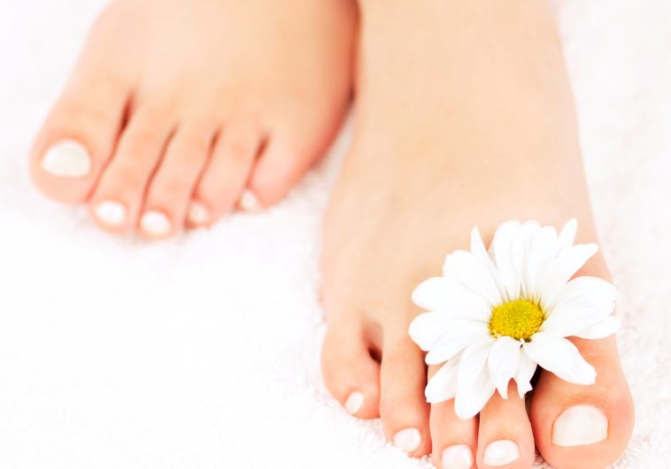 Female feet with pedicure