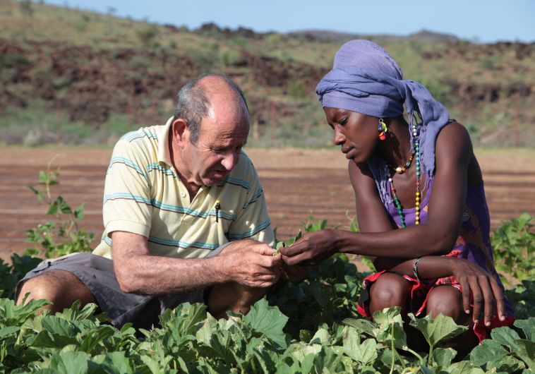 Furrows in the Desert in Turkana, Kenya