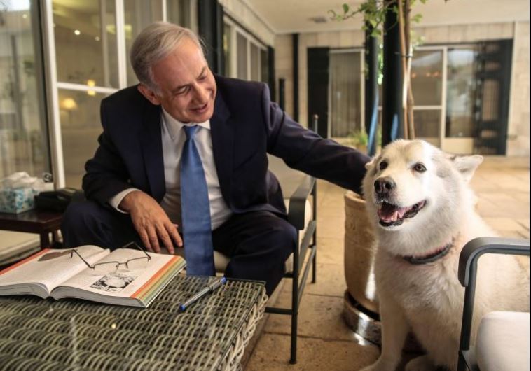 Prime Minister Benjamin Netanyahu with his dog, Kaiya.