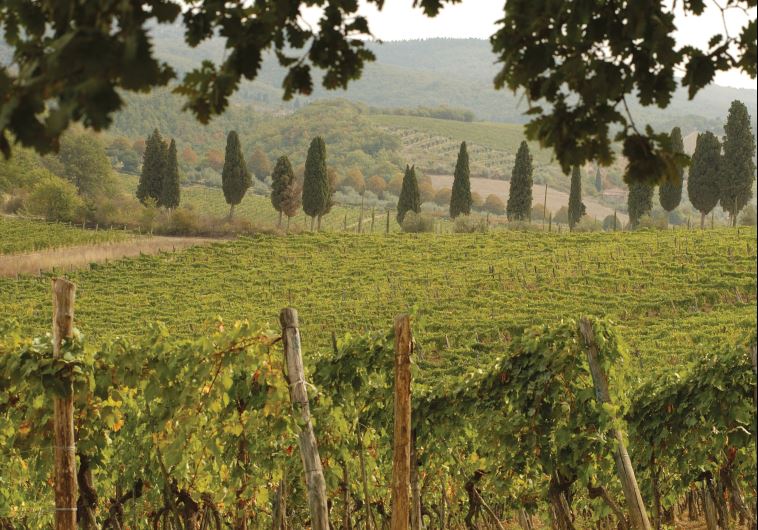 Tuscany 
