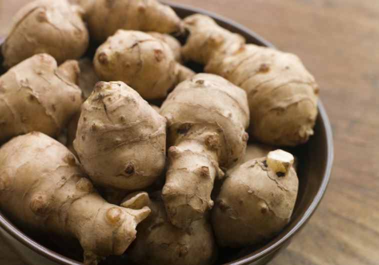  Jerusalem Artichoke