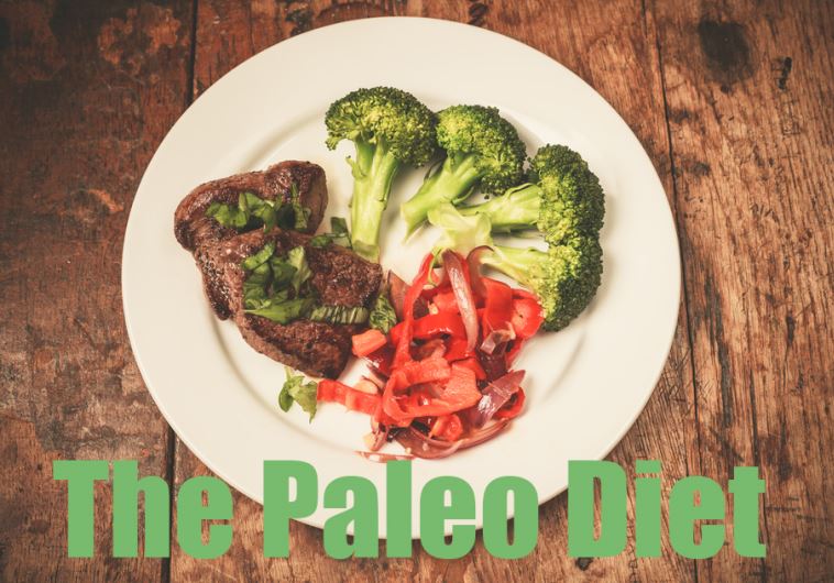 The Paleo Diet