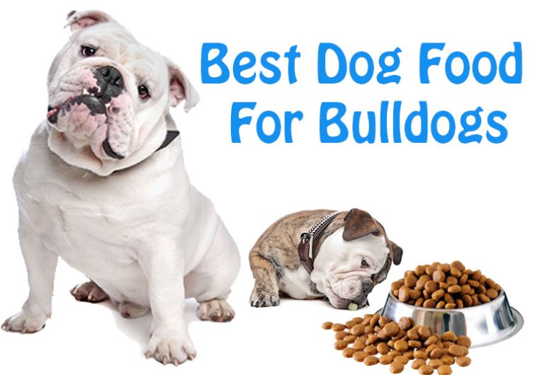 Best Dog Food For Bulldogs: What Every Dog Owner Should Know