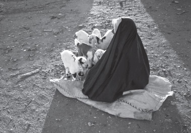 Beersheba Market, 2012 