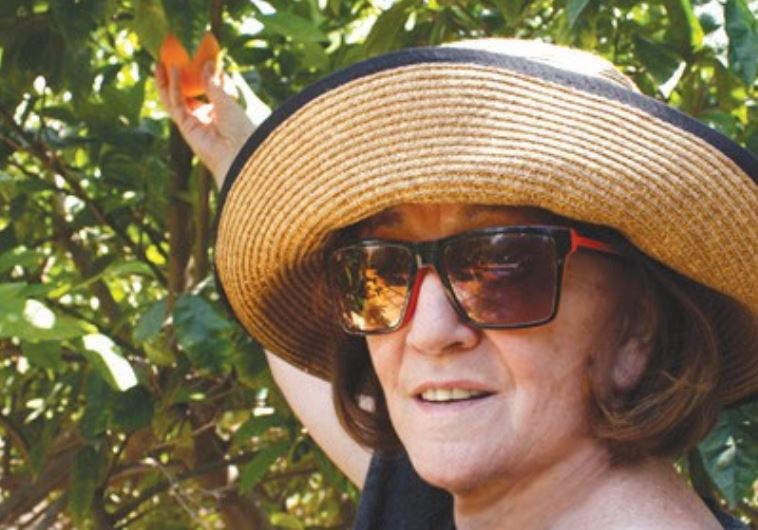 Ruth Corman picking oranges. 