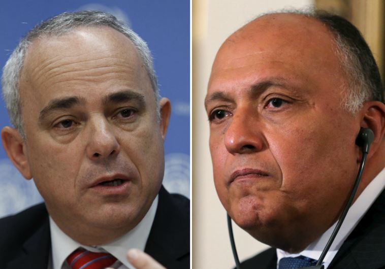 Israeli Minister Yuval Steinitz (R) and Egyptian Foreign Minister Sameh Shoukry