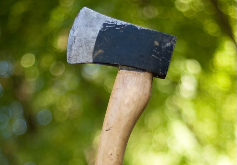 Axe (Illustrative) 