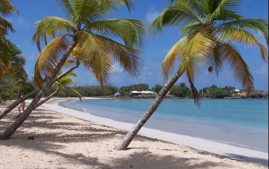 A Caribbean island [Illustrative]