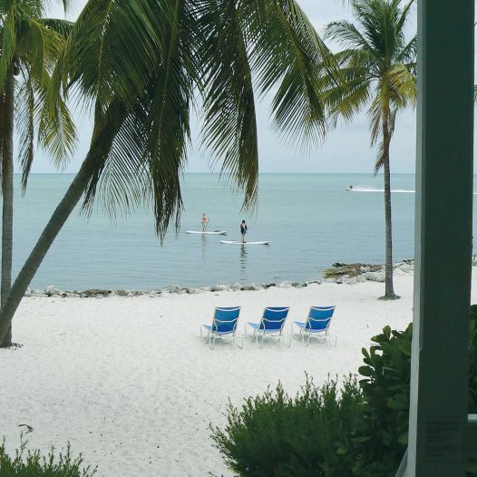 WHAT, ME WORRY? Our back-porch view in the Florida Keys.