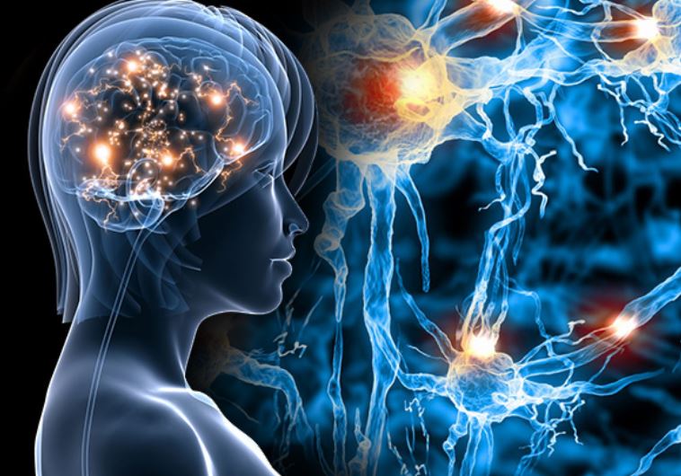 Increase Mental Focus + Memory + Energy