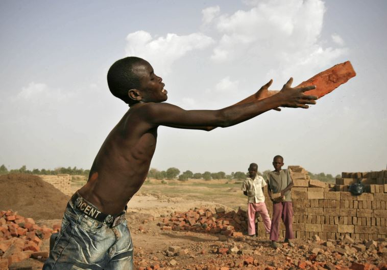 A boy catches a brick at a riverside factory in Chad's capital N'Djamena