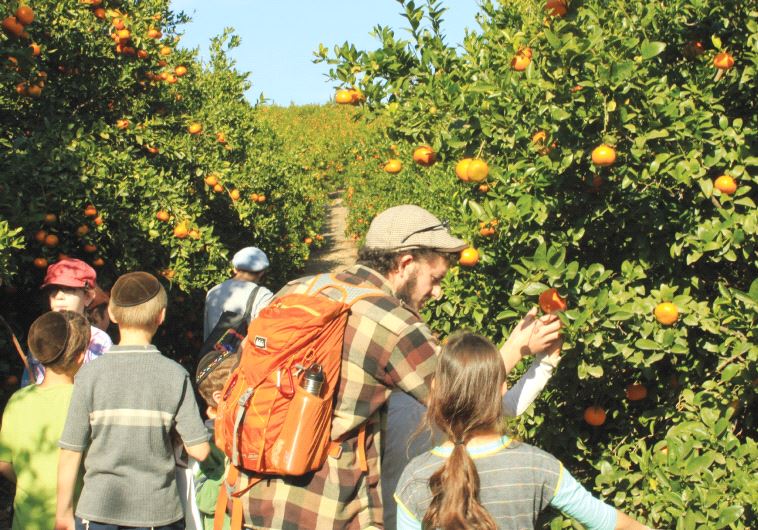 Benji Elson teaches kids about Judaism and ecology on a tour of fruit orchards