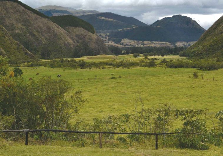 Hacienda Zuleta, in the Ecuadorian highlands