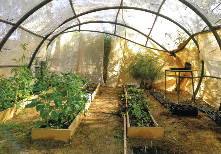 Garden, located in Arad, was gifted to the Ethiopian Jewish community by B’nai B’rith to commemorate Operation Solomon, the 1991 airlift that transported more than 14,000 Ethiopian Jews to Israel