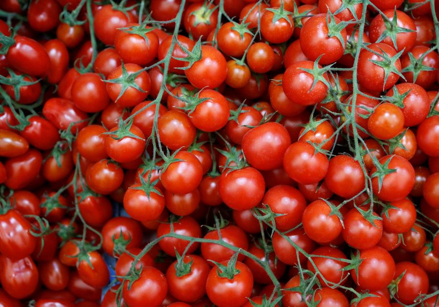 Tomatoes