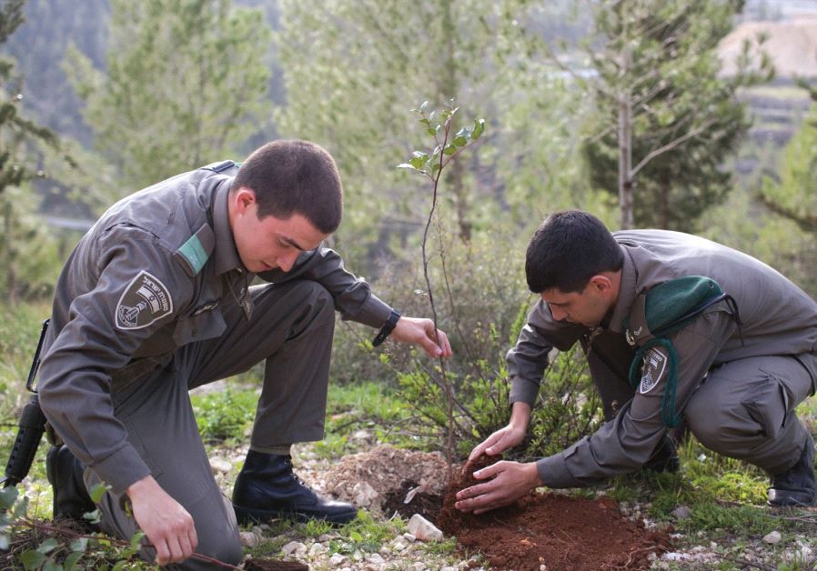 BORDER POLICEMEN plant trees for Tu Bishvat in the Arazim Valley near Jerusalem in 2013.