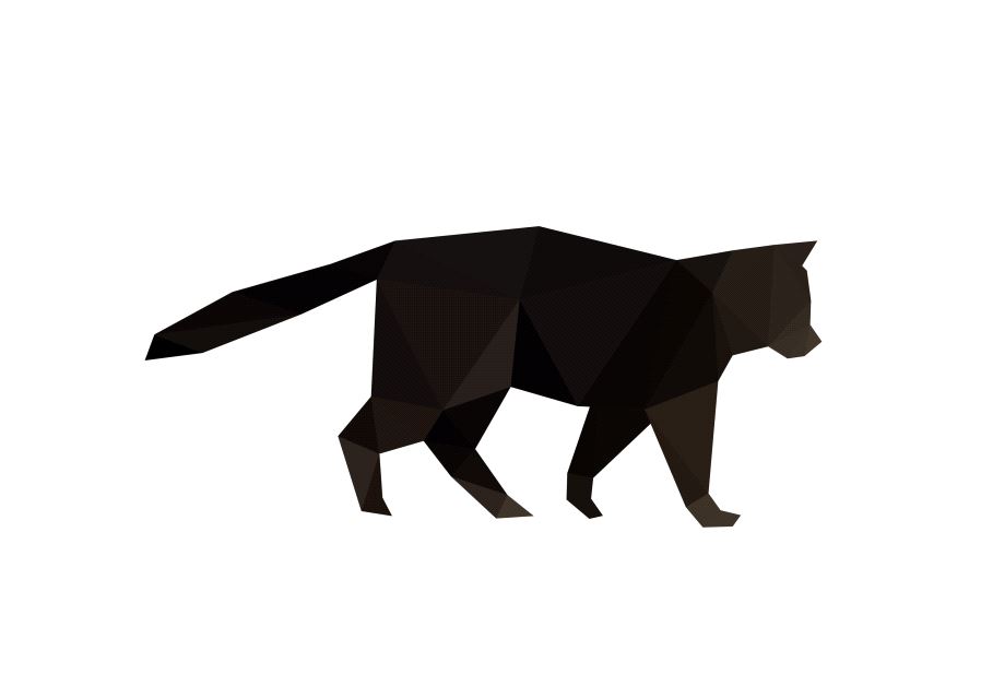 Cat illustration