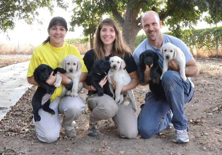 From the puppy-raising department: (from left) Orna Braun, Dana Halperin, Eli Ben-Boher
