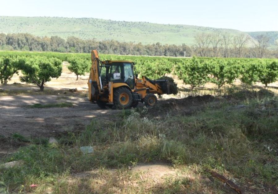 On the Galilee, its Environment and its Heritage