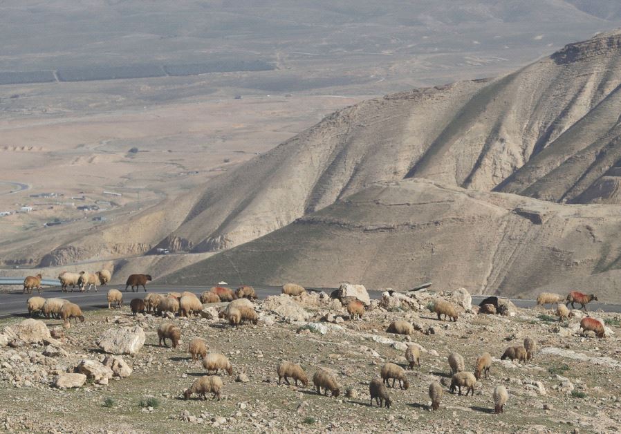 A view of the Jordan valley