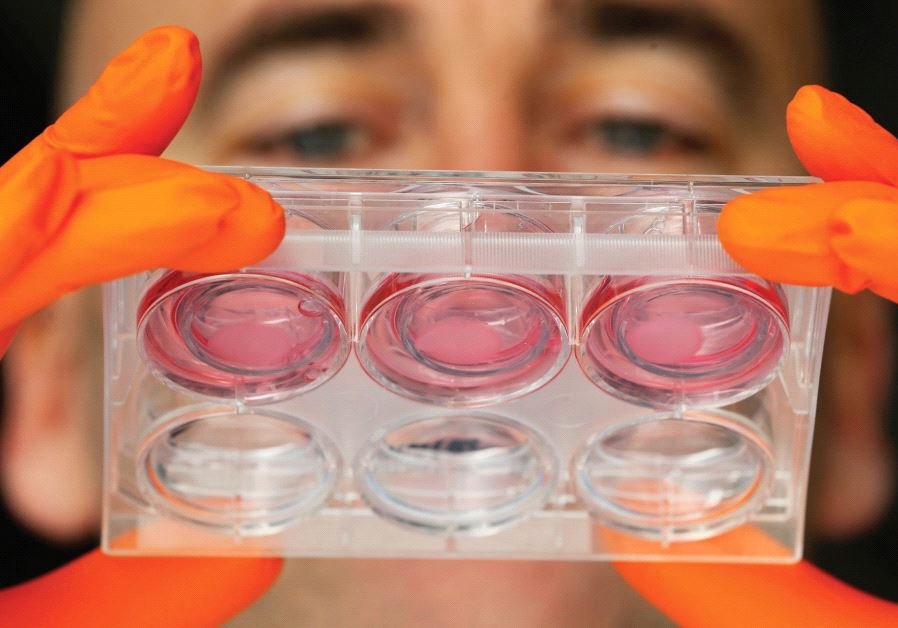 THIRD GENERATION light sources will enable the study of properties of human cells, atoms and will become important tools for research.