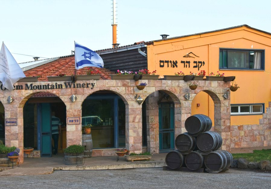 The family-owned Odem Mountain Winery